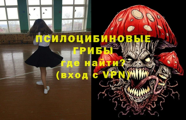 шишки Арсеньев
