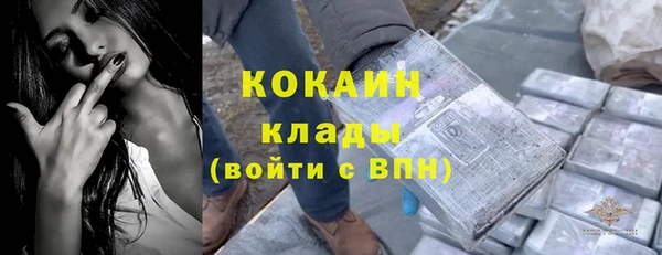 шишки Арсеньев