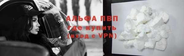 шишки Арсеньев