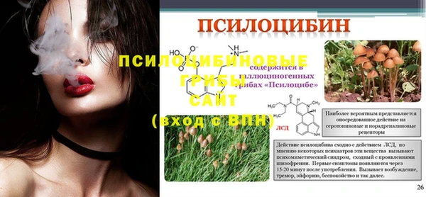 шишки Арсеньев