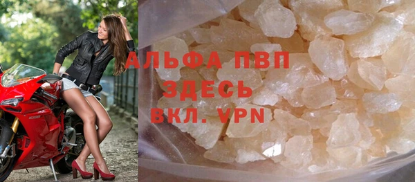 шишки Арсеньев
