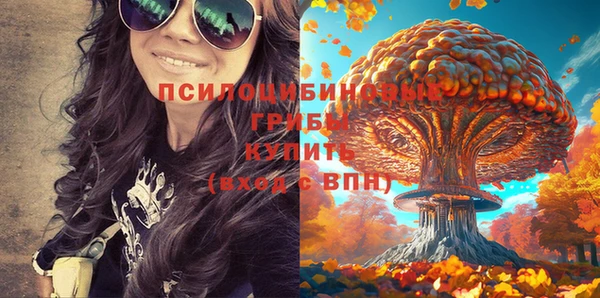шишки Арсеньев
